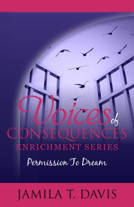permission to dream cover enlarged enrichment series PTD
